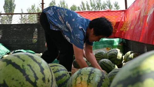 寻笑人线下吃瓜,揭秘娱乐圈幕后趣闻