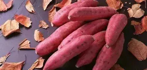 地瓜能和面瓜在一起吃吗