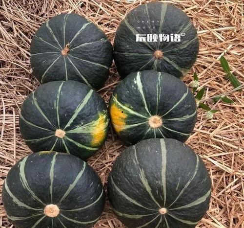 健身吃板栗瓜,营养美味两不误的健身美食攻略