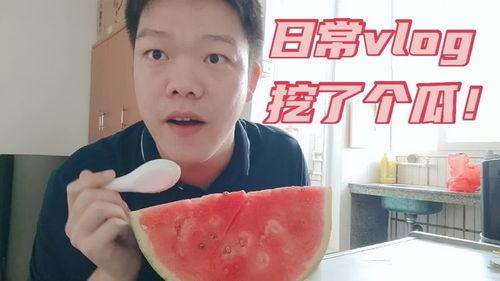vlog日常吃瓜,跟随镜头，一起品尝生活“瓜果”