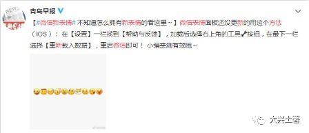 吃瓜微信封号,吃瓜群众微信被封号背后的真相