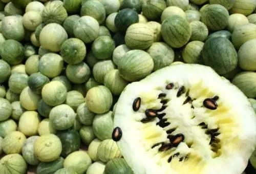 吃云南的瓜,探寻云南特色水果之旅